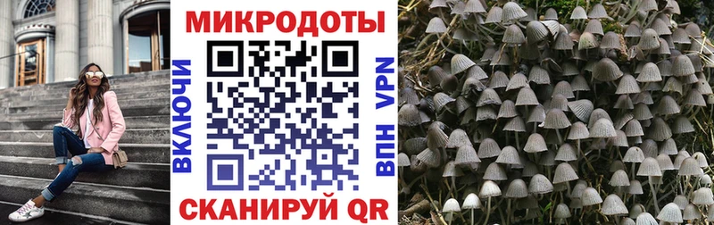 Купить закладки  Байкальск  Псилоцибиновые грибы Magic Shrooms 